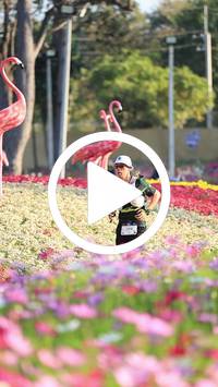 BIB:  <button type="button" onclick="openModal(27583475)" class="btn btn-primary btn-sm float-right" data-toggle="modal" data-target=".modal-high-quality">
                <i class="fa fa-download"></i> Download
                </button>